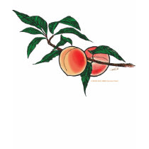 Peach branch shirt by Duncan_Reed Peach branch shirt