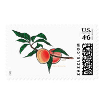 Peach branch stamp by Duncan_Reed Peach branch stamp