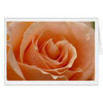 Peach cards by caroll77 Peach cards