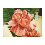 Peach Carnation Peach Carnation