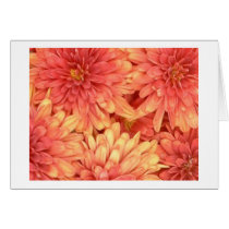 Peach Chrysanthemums cards by jolomast Peach Chrysanthemums cards
