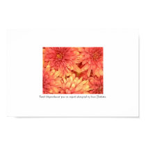 Peach Chrysanthemums posters by jolomast Peach Chrysanthemums posters