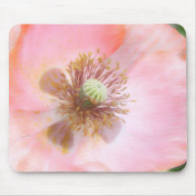 Peach Colored Annual Poppy Mouse Pad