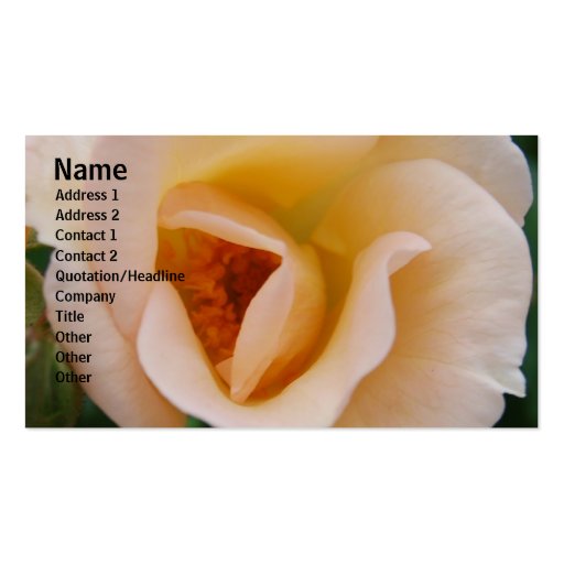 Peach Colored Rose Business Card Templates