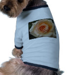 Peach colored rose pet clothes