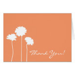 Peach Daisy Thank You Cards