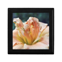 Peach Day Lily Gift Box Design