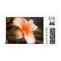 Peach Day Lily postage