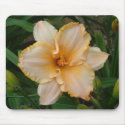 Peach Daylily Mousepad mousepad