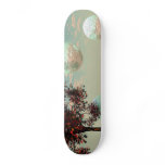 Peach Fantasy – Teal and Apricot Retreat Skate Decks