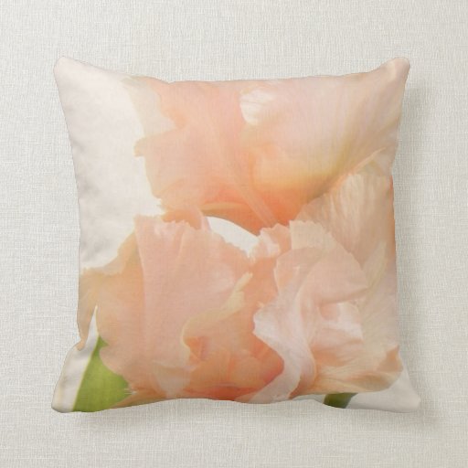 peach fruit pillow