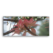 Peach Flower envelope envelopes