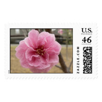 Peach flower. stamps