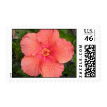 peach flower postage by xoCZxo peach flower postage