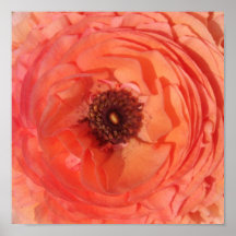 Peach Flower Print
