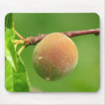 Peach Fuzz mousepads