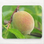 Peach Fuzz mousepads