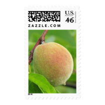 Peach Fuzz Stamp
