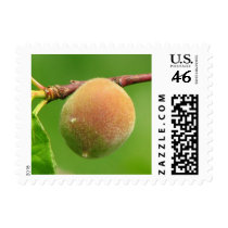 Peach Fuzz postage