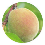 Peach Fuzz stickers