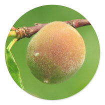 Peach Fuzz stickers by princessklb07 Peach Fuzz stickers