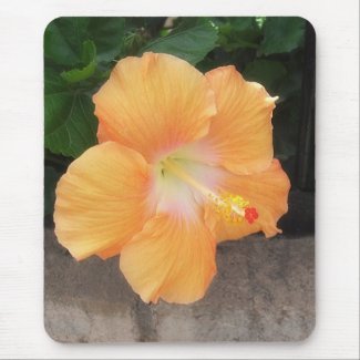Peach Hibiscus 1 mousepad