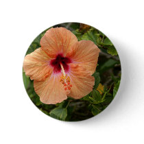 Peach Hibiscus buttons