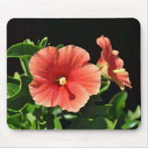 Peach Hibiscus Floral mousepads