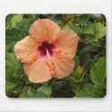 Pfirsich-Hibiscus mauspads