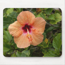 Peach Hibiscus mousepads