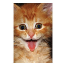 peach kitty stationery paper