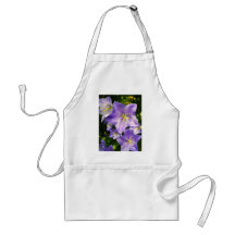 Peach-leaved Bellflower Apron