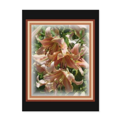 Peach Lillies Postcards by sharpcreations