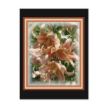 lily, peach lily, peach lillies, stargazer,