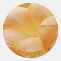Peach Moon Flower Sticker
