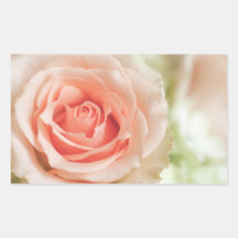 Peach Pink Rose Background Customized Rectangle Sticker
