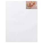 Peach Pink Rose Macro flyers