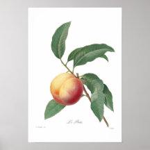 Peach Posters