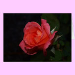 Peach princess card cards