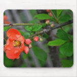 Peach Quince Mousepad
