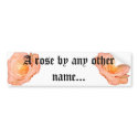 Peach Rose bumper stickers by Moondial Peach Rose bumper stickers
