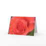 Peach Rose Card