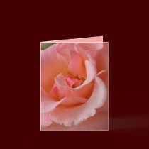 Peach Rose Card Custom Wildflower Greeting Card cards