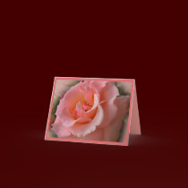 Peach Rose Card Custom Wildflower Greeting Card cards