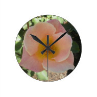 Peach Rose Clock