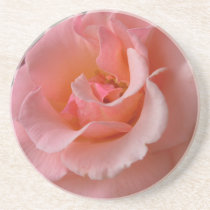 Peach Rose Coasters Wild Rose Gifts Keepsake Decor coasters