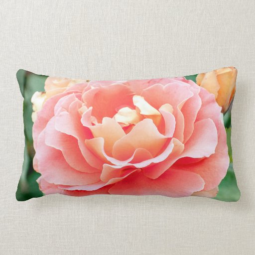 Peach Rose Cotton Lumbar Pillow Zazzle