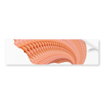 Peach Rose Fractal bumper stickers