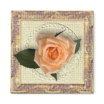 Peach Rose in Canvas Frame Magnet by elenaind Peach Rose in Canvas Frame Magnet