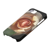 Peach Rose iPhone Case iPhone 5 Cases